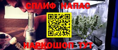 шишки Аргун