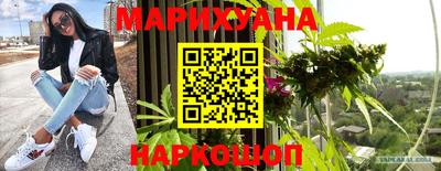 шишки Аргун